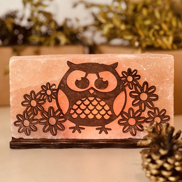 Соляная лампа 'Сова с цветочками'