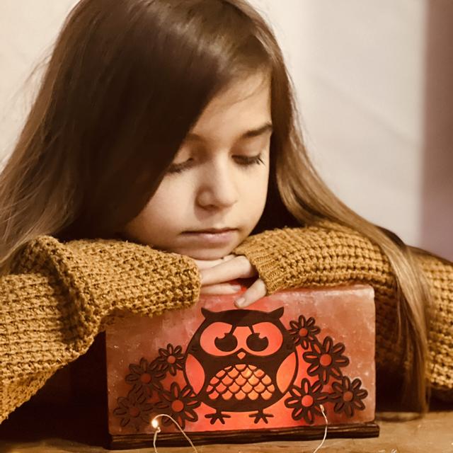 Соляная лампа 'Сова с цветочками'