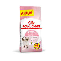 Сухий корм Royal Canin Kitten (Роял Канін Кітен) для кошенят 10 КГ