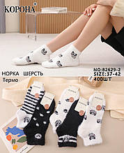 Шкарпетка жіноча нічна 36/41