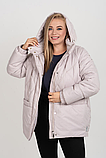 Жіноча демісезонна куртка М-1153 в розмірах з 46 по 60, фото 5