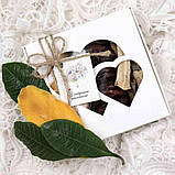 «БаКуМа» подарунковий набір сухофруктів Земледар, 305 г, фото 2