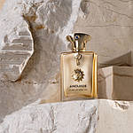 Amouage Jubilation Man 40 парфумована вода 100 ml. (Амуаж Юбілейшн Мен 40), фото 7