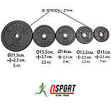 Металевий млинець (диск чавунний) для гантелі (штанги) під гриф 25мм OSPORT 5 кг (OF-0040), фото 2