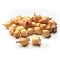 Цибуля сівок Триумф 100г