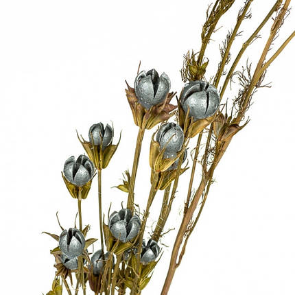 Букет із сухоцвітів сірий, 55 см, (8430-043), фото 1