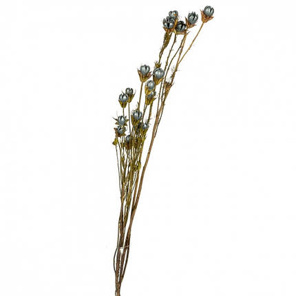 Букет із сухоцвітів сірий, 55 см, (8430-043), фото 2
