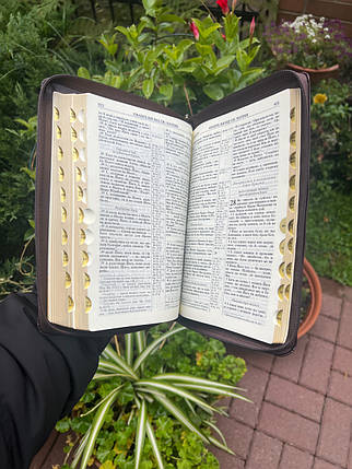 Біблія, переклад Рафаїла Турконяка, СП з второканонічними книгами, 16х24 см, шкірзамінник, замок., фото 2