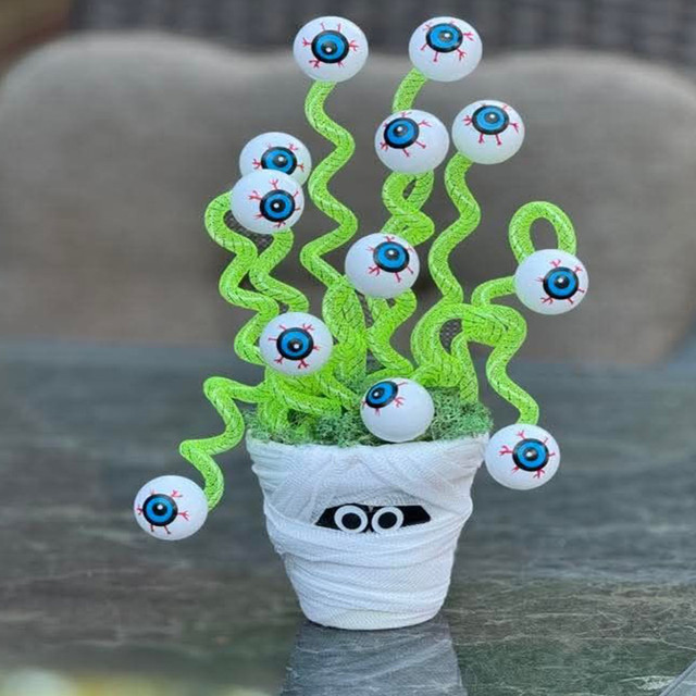 Рослини на підвіконні з очима