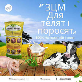 ЗЦМ (Замінник цільного молока)