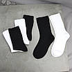 Шкарпетки чоловічі 6 пар високі «White&Black» розмір 41-44 арт. 276.3/344.3, фото 7