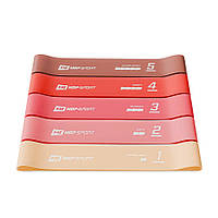 Набір резинок для фітнесу Hop-Sport 600x50мм HS-L650RLR Червоний