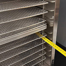 Дегідратор Frosty FFD-20H, фото 4