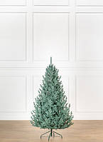 Ялинка лита "Віденська" Блакитна 1,80 м