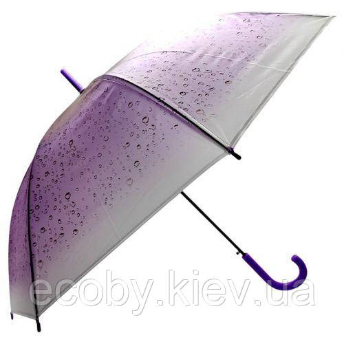 Парасолька напівавтомат, d=103 см, довжина: 83 см, 8 спиць, тростина, (ФІОЛЕТОВА), фото 1
