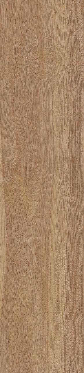 Stefani Beige F PR 225x900x8 R Mat 2, фото 1