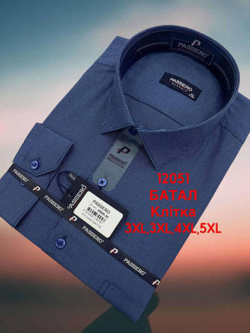 Батальна сорочка в мілку клітку Passero mod -40600/color 28, фото 1