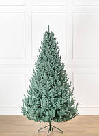 Ялинка лита "Віденська" Блакитна 2,50м