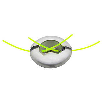 Павук млинець