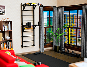 Шведська стінка RX (класичний турнік) RX-102 Рress