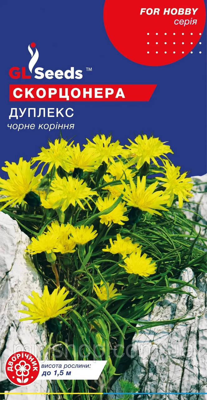 Скорцонера Дуплекс чорний корінь 0,5 г Glseeds, фото 1