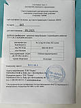 Смужки індикаторні Стерилан 180'С/60хв. для контролю стерилізаціїгарячим повітрям зовні "НОРМА" 1000шт./уп., фото 2