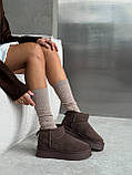 Жіночі коричневі уггі, короткі замшеві уггі, уггі жіночі на вісокій підошві, коричневі замшеві уггі, фото 2