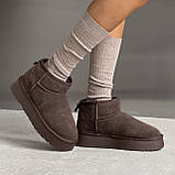 Жіночі коричневі уггі, короткі замшеві уггі, уггі жіночі на вісокій підошві, коричневі замшеві уггі, фото 8