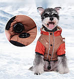 Куртка для собак Fashion з кільцем для повідка, фото 5