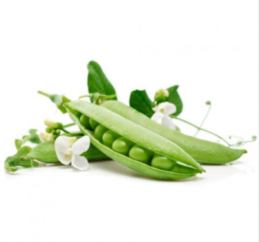 Насіння гороху Жовтий Гайдук, фото 1