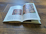 Книга Берегиня Василь Скуратівський  Б/у, фото 4