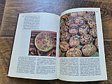Книга Берегиня Василь Скуратівський  Б/у, фото 6