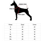 Куртка для собак Fashion з кільцем для повідка, фото 2