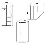 Шафа кутова Компаніт 3У 80х80х195 см Горіх екко, фото 2