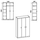 Шафа Компаніт 15 120х46.4х195 см Німфея альба, фото 2