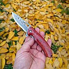 Ніж складаний з дамаської сталі D-234, фото 3