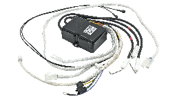 Блок управління та розпалу для колонки BW-QK002T