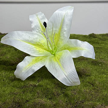 Лілія штучна біло-салатова 3D |Д- 22 см | 24 шт. в упаковці