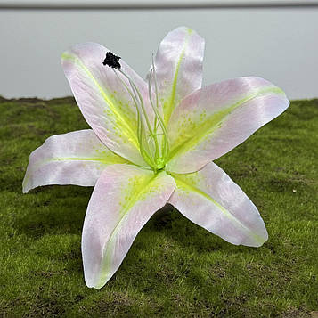 Лілія штучна рожево-салатова 3D | Д- 22 см | 24 шт. у пакованні