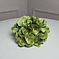 NGL01 Гортензія салатова штучна латексна гілка h=70см. d=17 cm. 5 шт, фото 2