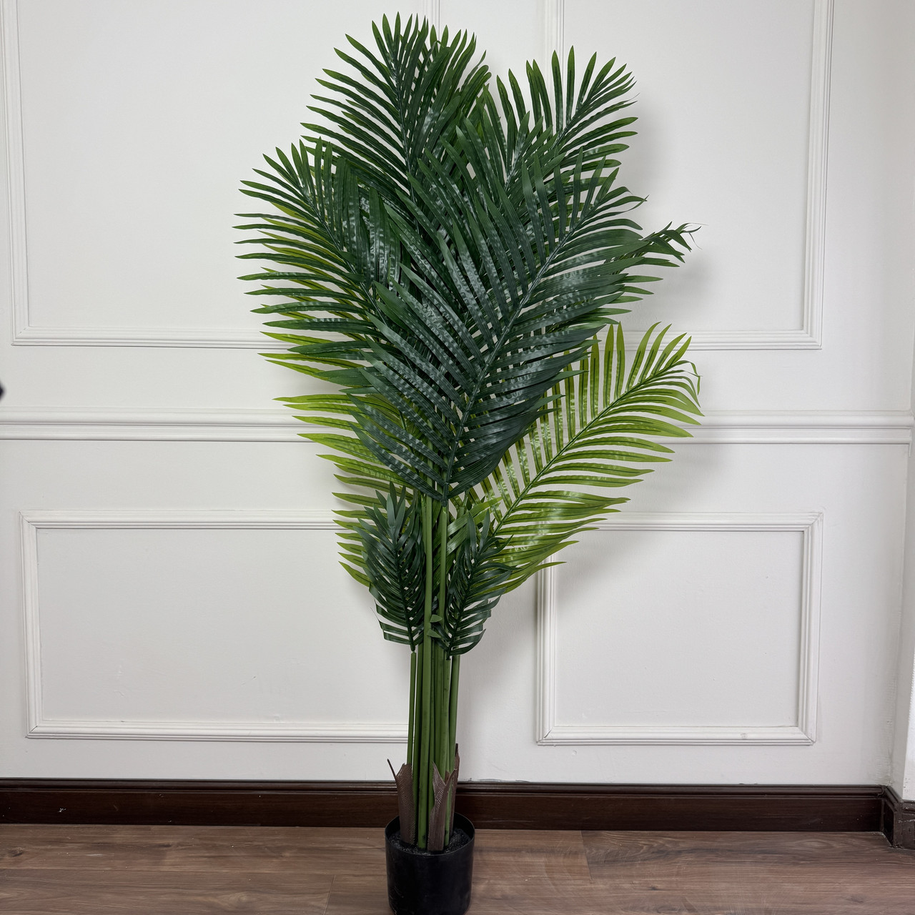 DR04 , Пальма Арека , 180 см, фото 1