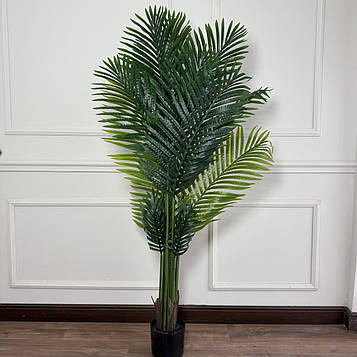 DR04 , Пальма Арека , 180 см