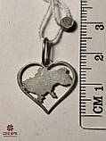 Срібний Кулон, фото 2