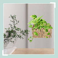 Підвісний кошик з водяним гіацинтом