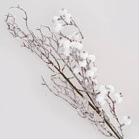 Декоративні гілки