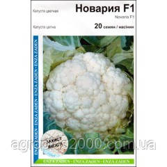 Насіння Капуста цвітна Новарія F1, 20 насінин Enza Zaden Агропак, фото 1