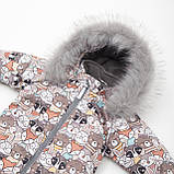 Дитячий зимовий комбінезон Аполло з хутром опушкою Утеплювач Termoloft Мембранна тканина Звірятка принт Розмір 74/80, фото 7