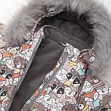 Дитячий зимовий комбінезон Аполло з хутром опушкою Утеплювач Termoloft Мембранна тканина Звірятка принт Розмір 74/80, фото 8