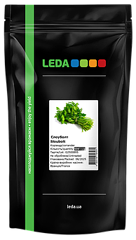 Насіння Коріандру Слоуболт 500 г (LEDA), середньостиглий сорт для відкритого ґрунту та теплиць