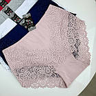 Жіночі великі бавовняні трусики #3029 Biweier, фото 3